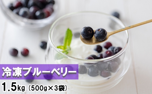 【数量限定】冷凍 ブルーベリー1.5kg（500g×3袋） 362618 - 宮崎県美郷町
