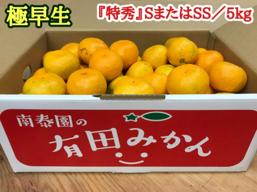 極早生 有田みかん 約5kg 特秀 S.SS_ZF6013n 362642 - 和歌山県湯浅町