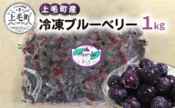 【叶え屋】上毛町産　冷凍ブルーベリー　1kg　K01501