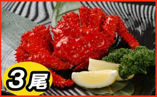 B-30002 【北海道根室産】花咲かに500～650g前後×3尾