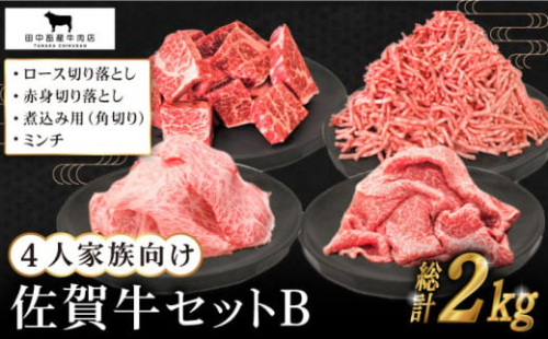 【毎日の料理に】4人家族向け 佐賀牛 普段使いセットB【田中畜産牛肉店】 [HBH114]