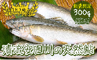 清流安田川の天然鮎（冷凍） 川魚 魚介 あゆ お取り寄せグルメ 塩焼き 甘露煮 鮎めし お歳暮 お中元  【481】