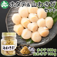 3367. ホタテ 貝柱 100g×3袋 計300g 山わさび醤油漬け 1瓶 ほたて ホタテ 帆立 小分け 玉冷 お刺身 薬味 辛味 調味料 ワサビ 山葵 ホースラディッシュ おかず おつまみ 送料無料 北海道 弟子屈町