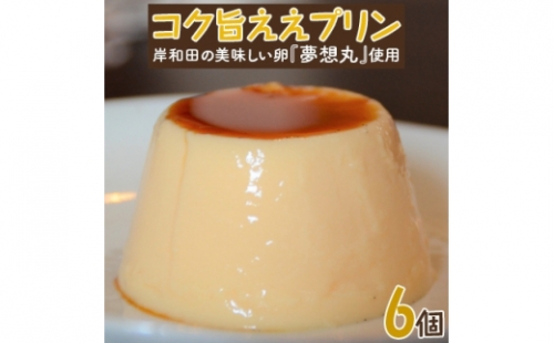 ＜岸和田の美味しい卵『夢想丸』使用＞こく旨ええプリン6個入り【1079029】