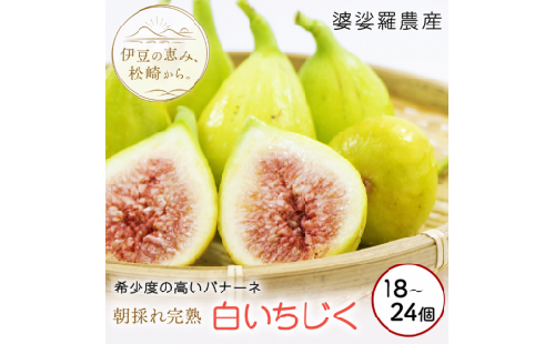 婆娑羅農産 生白いちじく バナーネ　朝採り　　 皮ごと 果物 くだもの フルーツ お菓子 デザート スイーツ 料理 サラダ ジャム ケーキ 8月中旬～順次発送予定