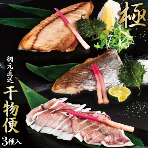 干物 気仙沼網元直送！干物便 ～極～ [熊栄産業 宮城県 気仙沼市 20563718] 魚 魚介類 乾物 真鯛 鯛 タイ さば 鯖 サバ ヤリイカ 冷凍 364035 - 宮城県気仙沼市