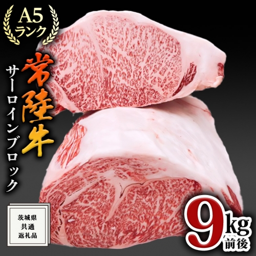 【常陸牛】A5サーロインブロック9kg前後 ( 茨城県共通返礼品 ) 肉 国産 焼肉 業務用 364229 - 茨城県牛久市