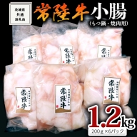 【常陸牛】もつ鍋 焼肉用小腸1.2kg 肉 国産 ホルモン