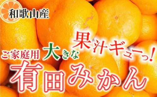 家庭用 大きな有田みかん5kg+250g（傷み補償分）［2025年11月中旬から2026年1月下旬頃順次発送予定］［IKE244］ 364304 - 和歌山県上富田町