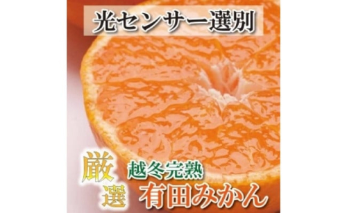 ＜1月より発送＞厳選 越冬完熟みかん5kg+150g（傷み補償分）訳あり 364305 - 和歌山県上富田町