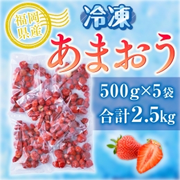 【ふるさと納税】福岡産冷凍あまおう500ｇｘ5袋 AX014