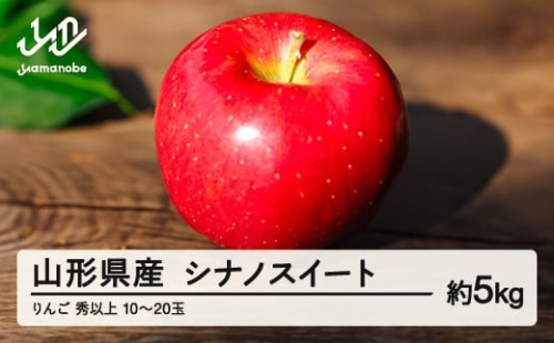 《先行予約》山形県産 りんご シナノスイート 特秀 約5kg(10~20玉) F20A-147 364452 - 山形県山辺町