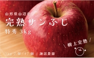《先行予約》山形県産 完熟サンふじ りんご 3kg F20A-902