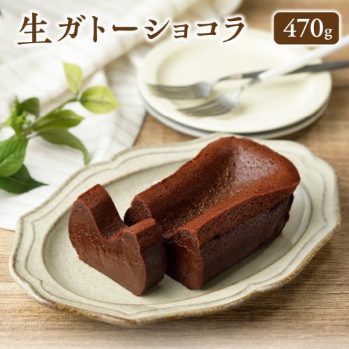生ガトーショコラ470g冷凍 N0153-YZA149 364517 - 宮崎県延岡市