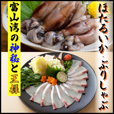 鮮度そのまま！『ぶり、ほたるいか』生冷凍セット 364531 - 富山県氷見市