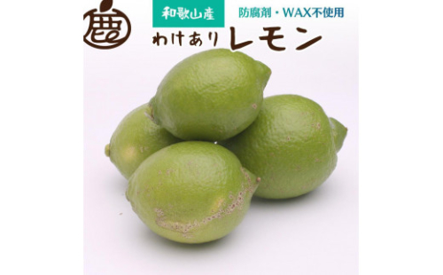 ＜9月より発送＞家庭用 黒潮レモン2.5kg+75g（傷み補償分）【和歌山有田産】【防腐剤・WAX不使用、安心の国産レモン】【わけあり・訳ありレモン】 364739 - 和歌山県那智勝浦町