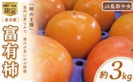 富有柿 柿 果物 フルーツ 期間限定 数量限定 鳥取県 倉吉市