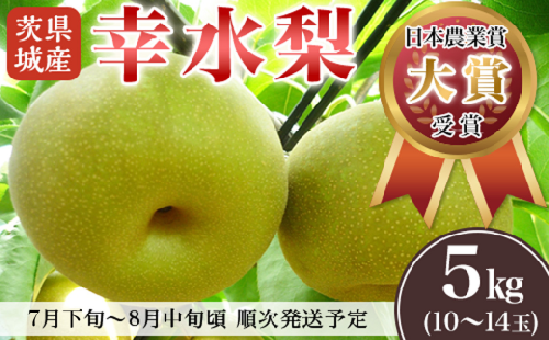 【 先行予約 】 茨城県産 「 幸水梨 」 約5kg 【 2026年7月下旬 ～ 8月中旬にかけて発送予定 】【 こうすい 果物 くだもの フルーツ 国産 季節限定 人気 贈り物 お取り寄せ デザート 】