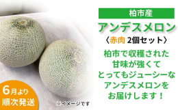 柏市で収穫されたアンデスメロンをお届けいたします。アンデスメロンは、甘味が強くてとってもジューシー！マスクメロンに似た風味をもち、果肉はとろけるような口当たりです。旬のフルーツをお楽しみください。※柏