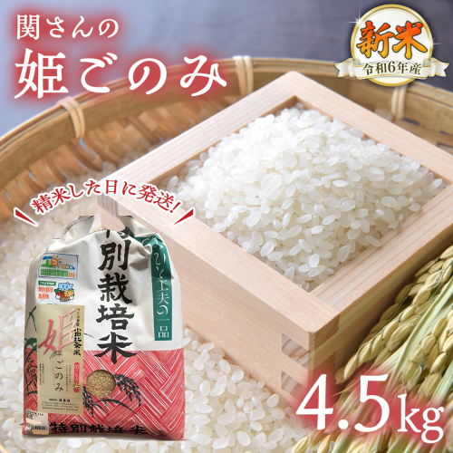 令和6年産【精米日出荷】みずほの村市場牛久店　関さんの「姫ごのみ」 4.5kg 特別栽培農産物 認定米 新米 365302 - 茨城県牛久市