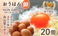 純国産鶏の卵 おうはん卵 20個入り 卵 生卵 たまご タマゴ 玉子 赤玉 青柳たまご 福岡 送料無料