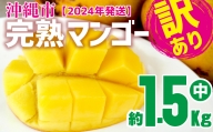 訳あり品【2024年発送】沖縄市　完熟マンゴー（中）約1.5kg