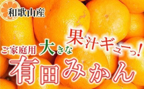 家庭用 大きな有田みかん5kg+250g（傷み補償分）［2025年11月中旬から2026年1月下旬頃順次発送予定］［IKE244］ 365588 - 和歌山県那智勝浦町