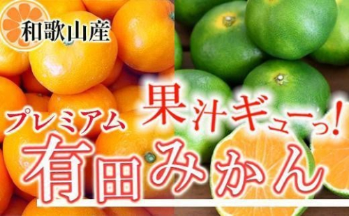 プレミアム 有田みかん10kg+250g（傷み補償分）［2025年10月上旬から2026年1月下旬頃順次発送予定］［IKE249］ 365614 - 和歌山県那智勝浦町