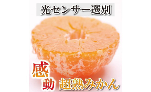 家庭用 超熟有田みかん 5kg+150g（傷み補償分）訳あり＜2024年11月より発送＞ 365621 - 和歌山県那智勝浦町