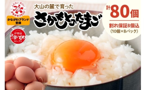 《2026年4月中旬より順次発送》坂本養鶏 大山の麓で育った さかもとのたまご 80個 (72個＋割れ保証8個)｜伊勢原市 赤玉卵 玉子 鶏卵 生卵 国産 TKG タマゴ 新鮮 大山 鶏 ギフト 安心 安全 親子丼 卵焼き 目玉焼き お菓子 [0792] 365727 - 神奈川県伊勢原市