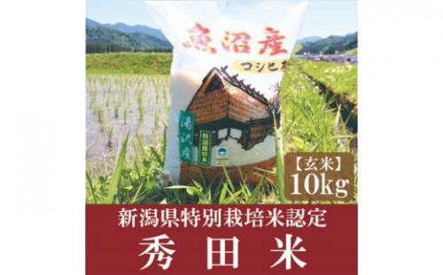 令和4年産新米予約 新潟県特別栽培米認定！味とツヤにこだわった「秀田米」 玄米10kg【湯沢産コシヒカリ】