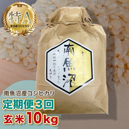 お買い得限定SALE】 玄米 令和3年産 魚沼産 コシヒカリ 10kg 送料無料