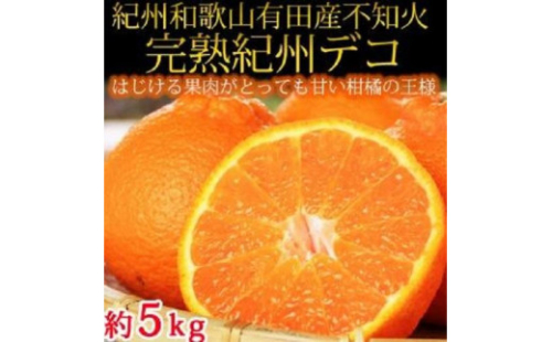 【魚鶴商店厳選】和歌山人気の春の柑橘定期便（不知火・なつみ・甘夏みかん）【定期便全3回】 366045 - 和歌山県那智勝浦町