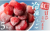【予約受付_2025年2月以降】冷凍イチゴ5kg（2020年第31回静岡県いちご果実品評会入賞）　【 いちご 果物 フルーツ 苺 イチゴ 冷凍 果物 フローズン くだもの 大容量 静岡県産 期間限定 】　<T-8>