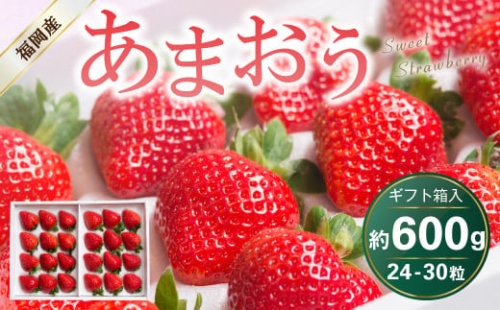 福岡県産 あまおう 24-30粒 約600g いちご 苺 フルーツ 国産