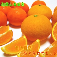 AB7057n_（先行予約）（旬の美味）（みかん名産地和歌山有田）有田育ちの ご家庭用 旬の柑橘 詰め合わせセット 2.5kg（訳あり）