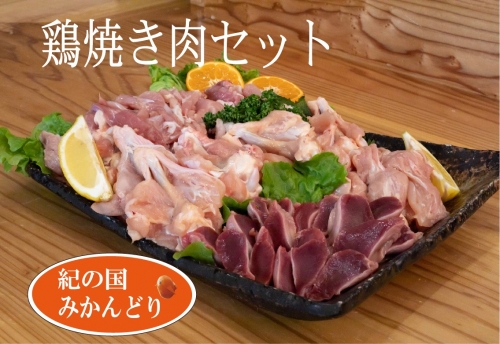 DO6002n_紀の国みかんどり 鶏 焼肉 セット 366158 - 和歌山県湯浅町