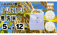 【12か月定期便 無洗米 コシヒカリ】令和8年産 新米予約 阿賀野市産コシヒカリ「はちみつ農法」無洗米 合計60kg（5kg×毎月お届け全12回）農家直送 八米 | 新潟県産コシヒカリ 新潟産コシヒカリ 阿賀野産コシヒカリ 新潟県産こしひかり こしひかり お米 米 白米 精米 むせんまい 5キロ 新米 定期便 頒布会 HACHIBEI 新潟県 阿賀野市 1L12133