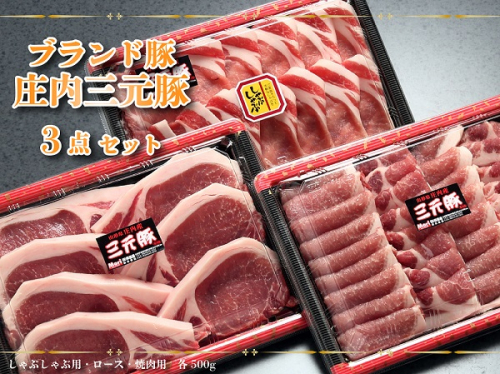 【109-021】ブランド豚「庄内三元豚」3点セット（計1.5kg） 3668 - 山形県庄内町