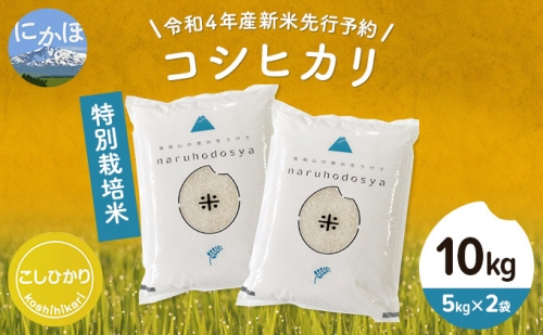 《令和4年産新米先行予約》特別栽培米　コシヒカリ 白米 10kg（5kg×2袋）