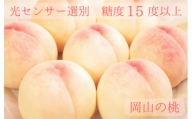 樹熟し 白桃 2kg 糖度15度以上 【極甘】 _S117
