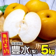 ＜先行受付＞茨城県産梨豊水（約5kg） 梨 なし 果物 フルーツ 新鮮 旬