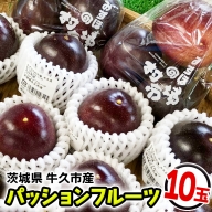 ＜先行予約＞みずほの村市場牛久店 丸山さんの パッションフルーツ 10玉 果物 フルーツ 健康 南国
