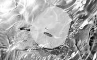 017-010　【BULK HOMME　バルクオム】 THE FACE MASK（5枚） フェイスマスク メンズスキンケア フェイスケア 美容液マスク 保湿