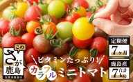 I-18【予約受付中】カラフルミニトマト『Ricotomato』 【1kg×7回定期便】