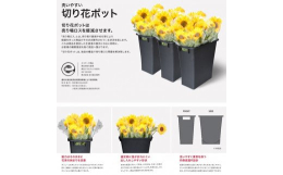 サイズ:約W188×D352×H350mm 本体重量:730ｇ エコマーク取得 特許商品：特許番号20 128 001 特許元：大阪府立環境農林水産総合研究所 （１）花束の収まり改善 （２）選定時茎が