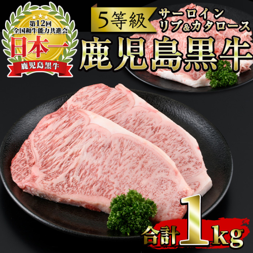 No.347 ＜肉質等級5等級＞(E-301)鹿児島黒牛サーロインステーキ2枚・すきやきセット(計1kg)国産 牛肉 黒毛 和牛 スライス リブロース 肩ロース カタ しゃぶしゃぶ【さつま日置農協】 36908 - 鹿児島県日置市