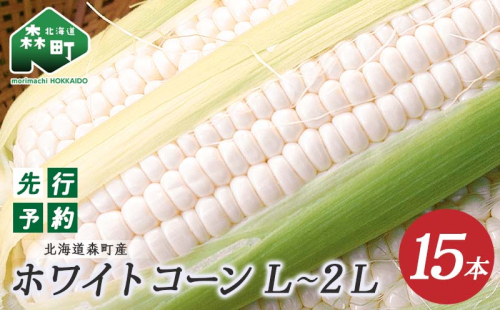 【先行予約】【数量限定】北海道森町産ホワイトコーン L～2L 15本（2026年7月下旬～9月中旬までに順次お届け） とうもろこし トウモロコシ  とうきび トウキビ 野菜 やさい 北海道 たっぷり 甘い 朝もぎ 期間限定 ふるさと納税 森町 mr1-0144 369238 - 北海道森町