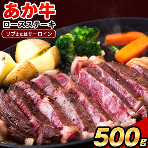 あか牛（褐毛和種）ロースステーキ (リブまたはサーロイン) 250g×2 500g 熊本県産 肉 和牛 牛肉 赤牛 あかうし リブロース サーロイン 冷凍 《2026年1月中旬-3月末頃出荷》送料無料 369349 - 熊本県南阿蘇村