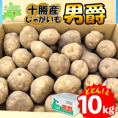 北海道 じゃがいも 男爵 10kg 北海道産 十勝産 男爵芋 男爵イモ 男爵薯 ジャガイモ 芋 いも ポテト お取り寄せ まとめ買い 送料無料 十勝 士幌町【V03】